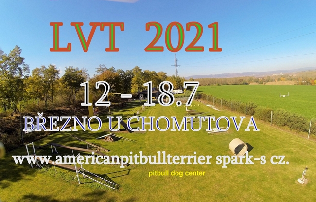 lvt2021v2